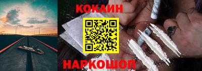 стаф Можга