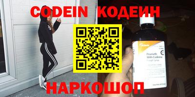 стаф Можга