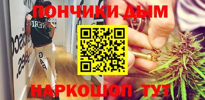 стаф Можга