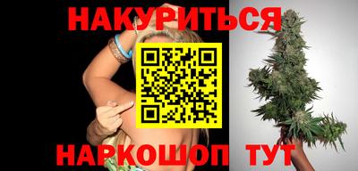 стаф Можга
