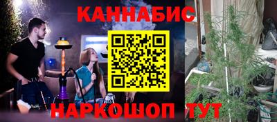 стаф Можга