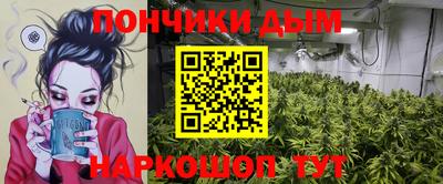 стаф Можга