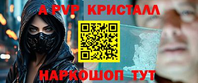 стаф Можга