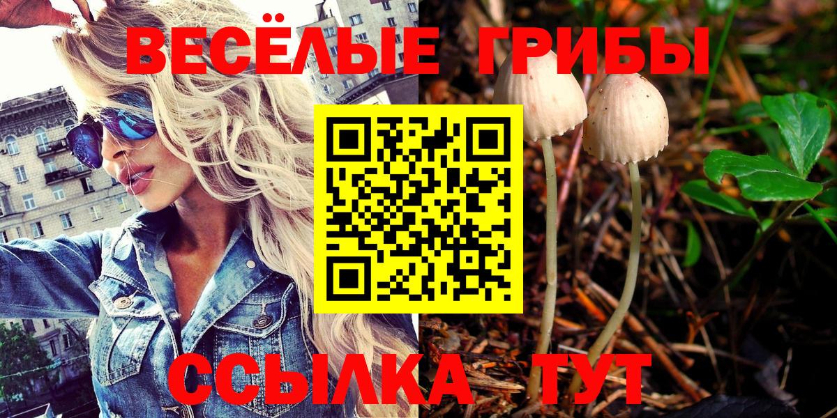 Псилоцибиновые грибы Psilocybine cubensis Тавда