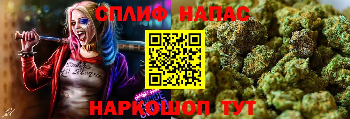 МАРИХУАНА гибрид  Вход с VPN  Бошки Шишки планчик  Конопля семена  Каннабис планчик  Тавда 